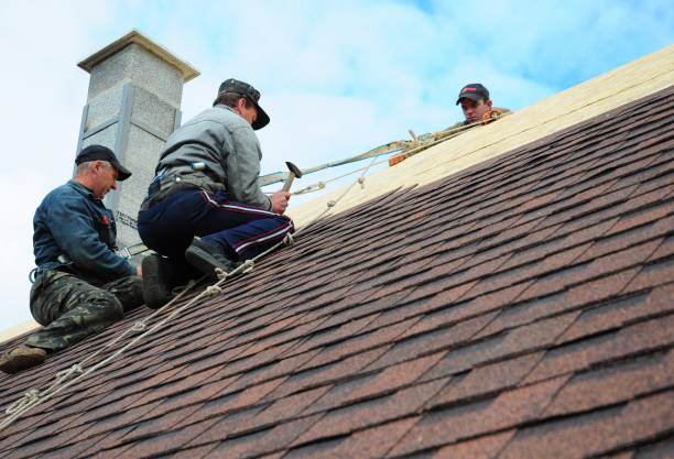 Quick and Trustworthy Emergency Roof Repair Services in Loves Park, IL