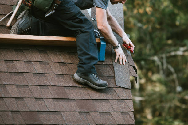 Best Storm Damage Roof Repair  in Loves Park, IL